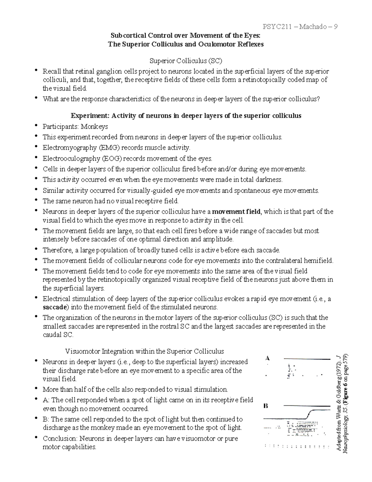 9. Subcortical Oculomotor Reflexes - Subcortical Control over Movement ...