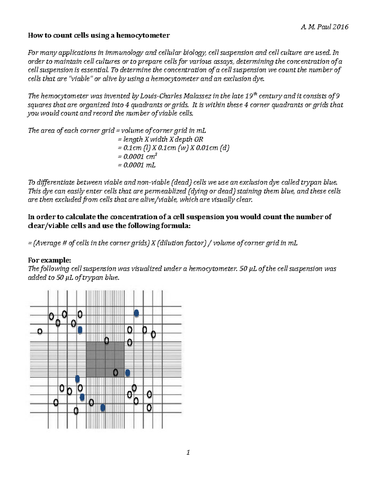 how-to-count-cells-using-a-hemocytometer-bsc-586l-usm-studocu