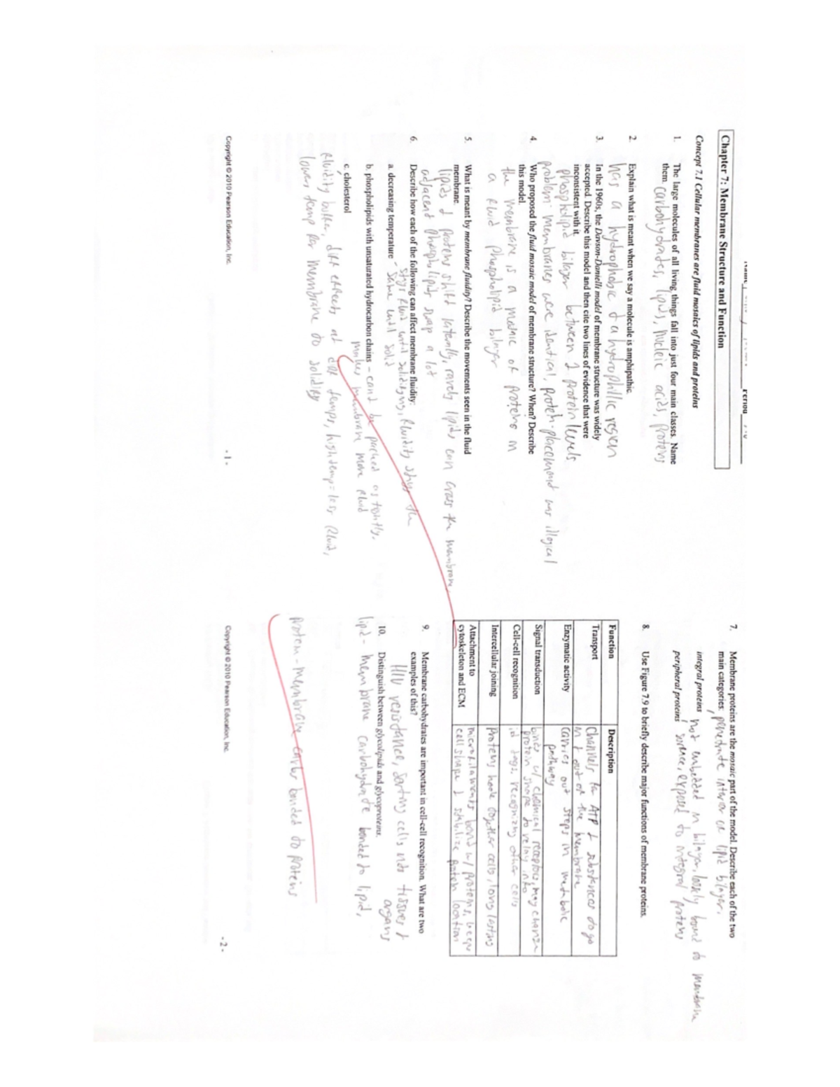 Chapter 7: Membrane Structure And Function - Name Pour 7 Jovowe Reriou ...