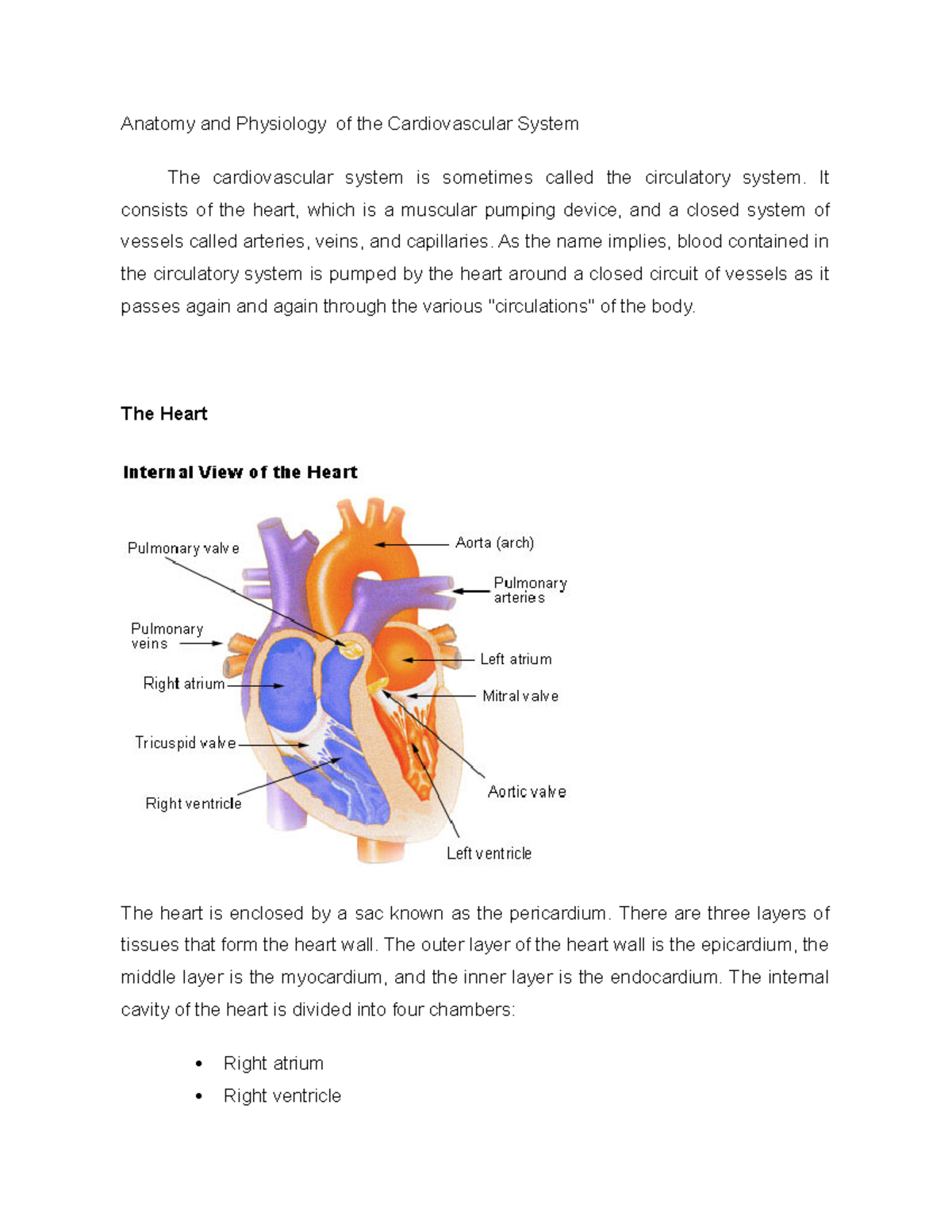 63944489 Anatomy And Physiology Of The Cardiovascular System Anatomy 63944489 Anatomy And Physiology Of The Cardiovascular System Anatomy