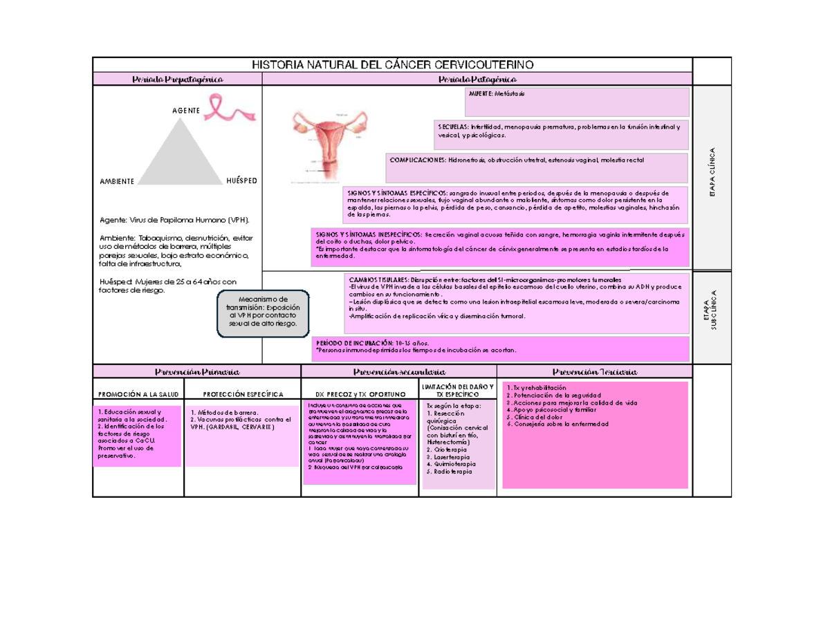 Historia Natural del Cancer cervico uterino - Prevención Primaria