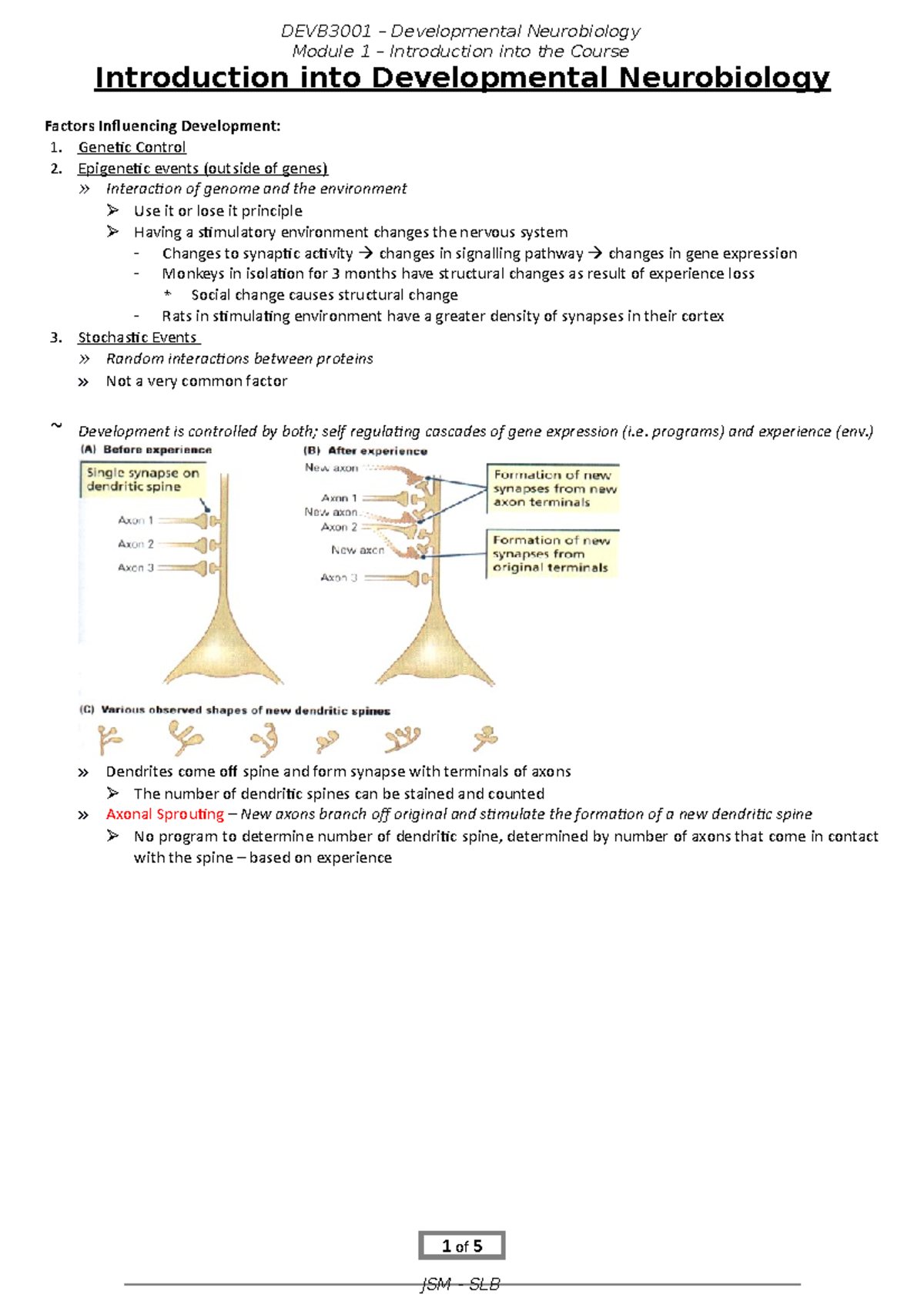 Developmental Neurobiology - Introduction - DEVB3001 Developmental ...