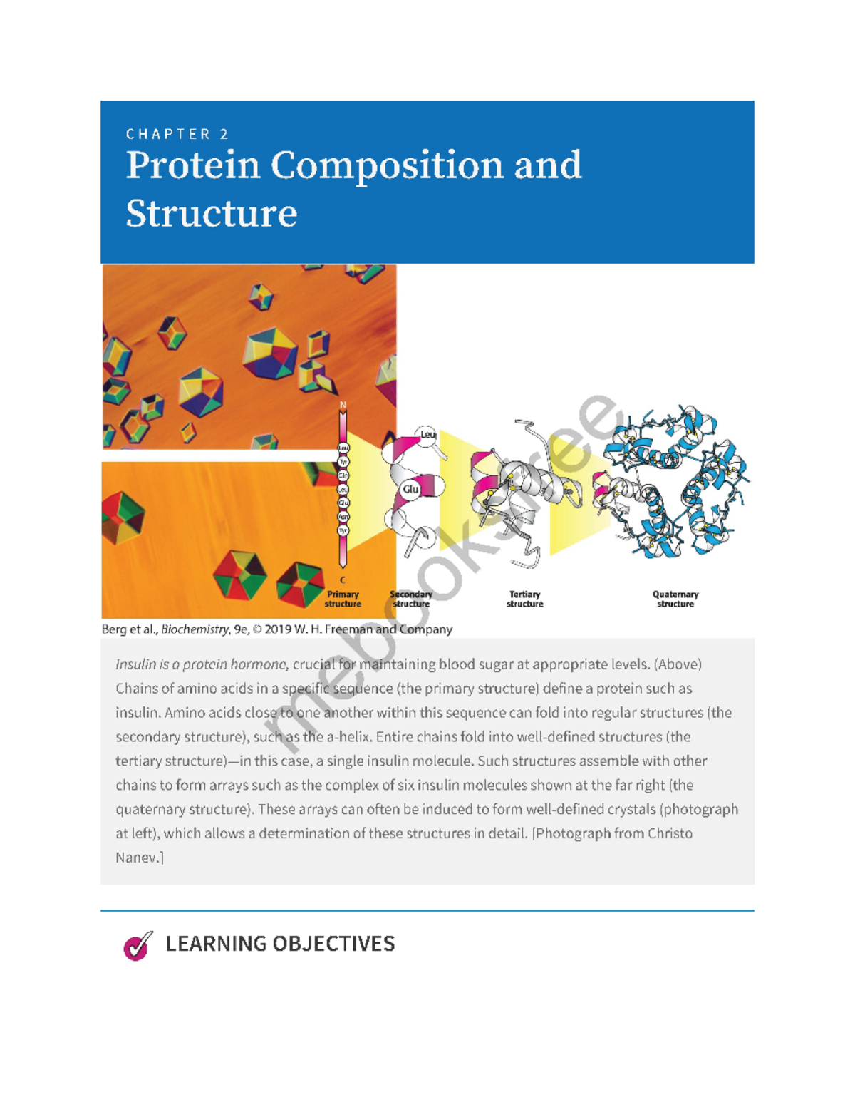 Biochemistry Textbook Chapter 2 Berg Et Al Biochemistry 9e © 2019 W H Freeman Ana