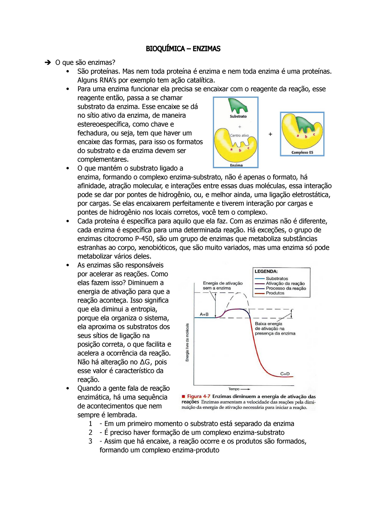 Enzimas Resumo BioquÍmica Enzimas O Que Enzimas Mas Nem Toda