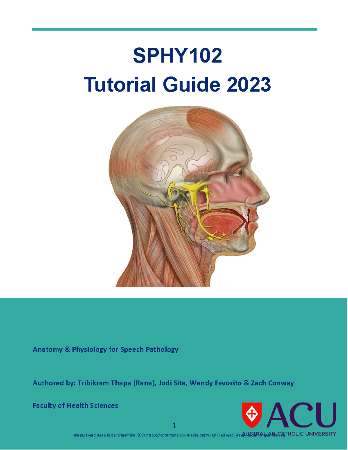 Student SPHY102 Tutorial Guide 2023 - SPHY Tutorial Guide 2023 Anatomy ...
