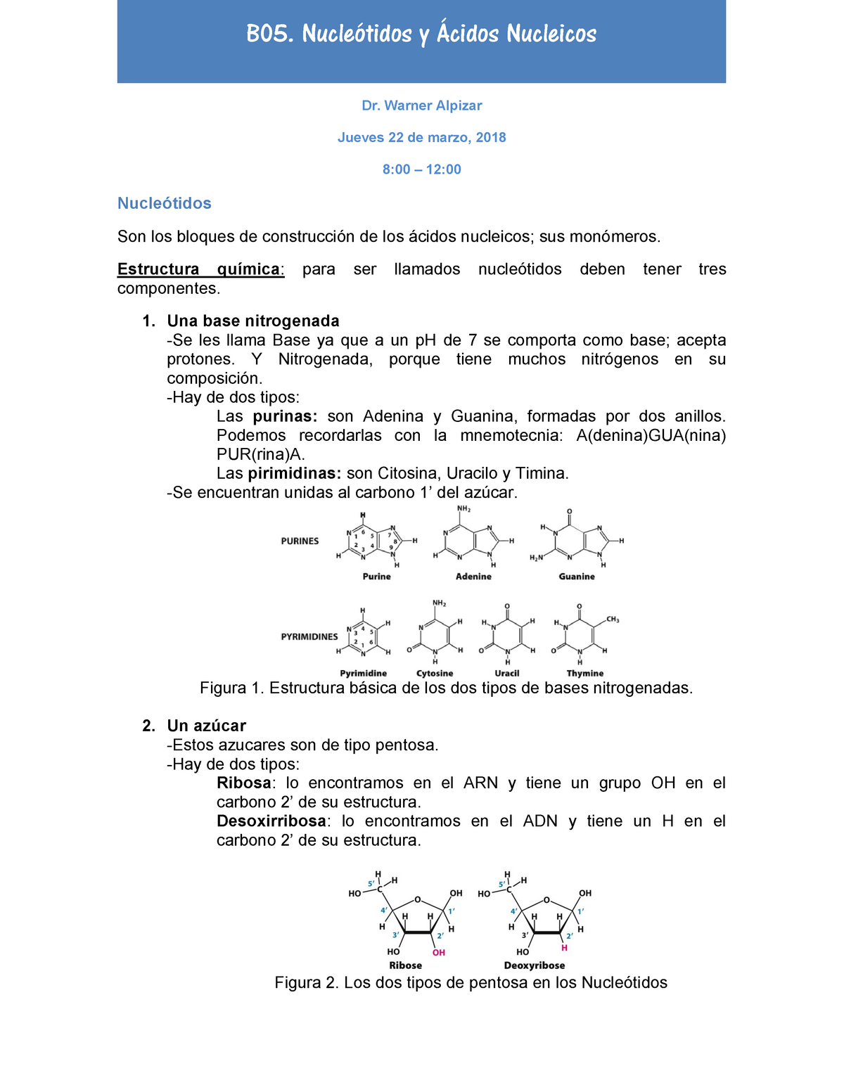 B05 Nucleotidos Y Acidos Nucleicos Me0117 Ucr Studocu