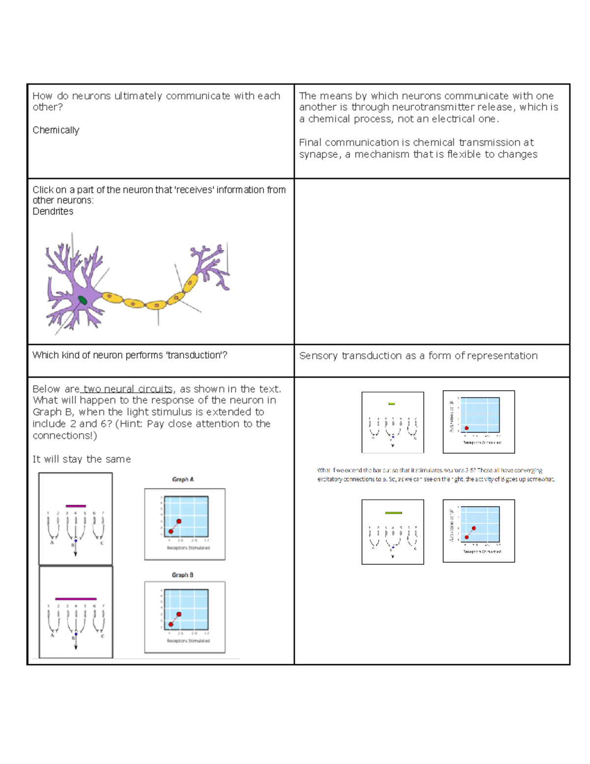 critical thinking questions about neurons