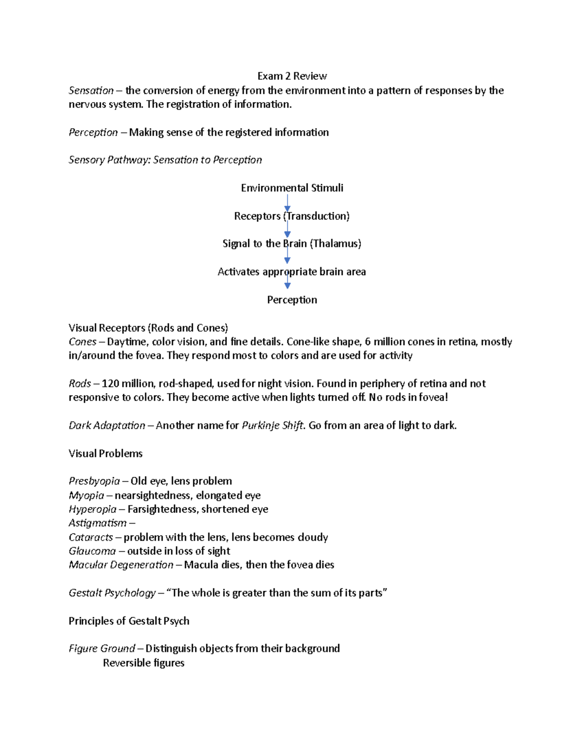 Exam 2 Study Guide - Exam 2 Review Sensation – the conversion of energy ...