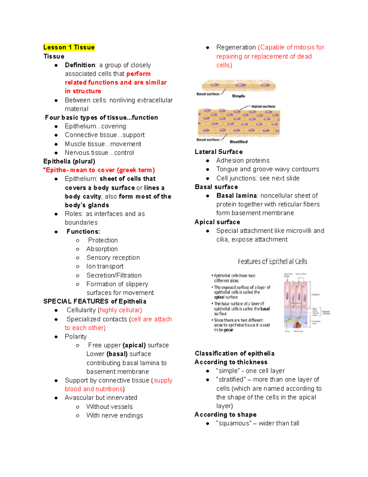 Genpath Lesson 1 Tissue - Lesson 1 Tissue Tissue Definition: a group of ...