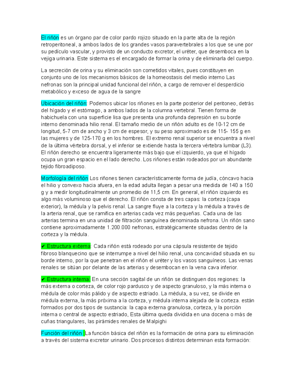 Copia de sistema renal - apuntes de fisio - El riñón es un órgano par ...