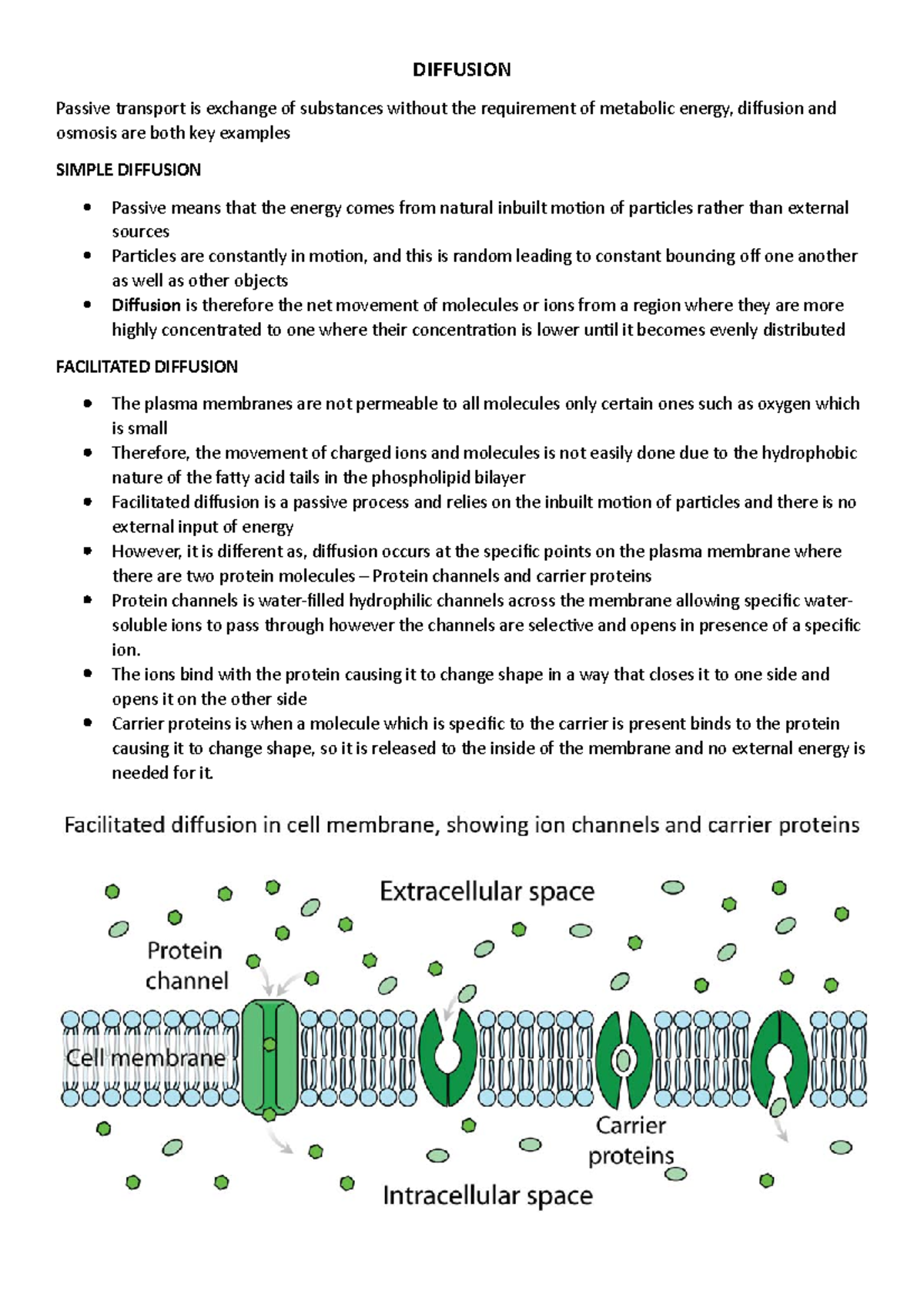 Diffusion - The ions bind with the protein causing it to change shape ...