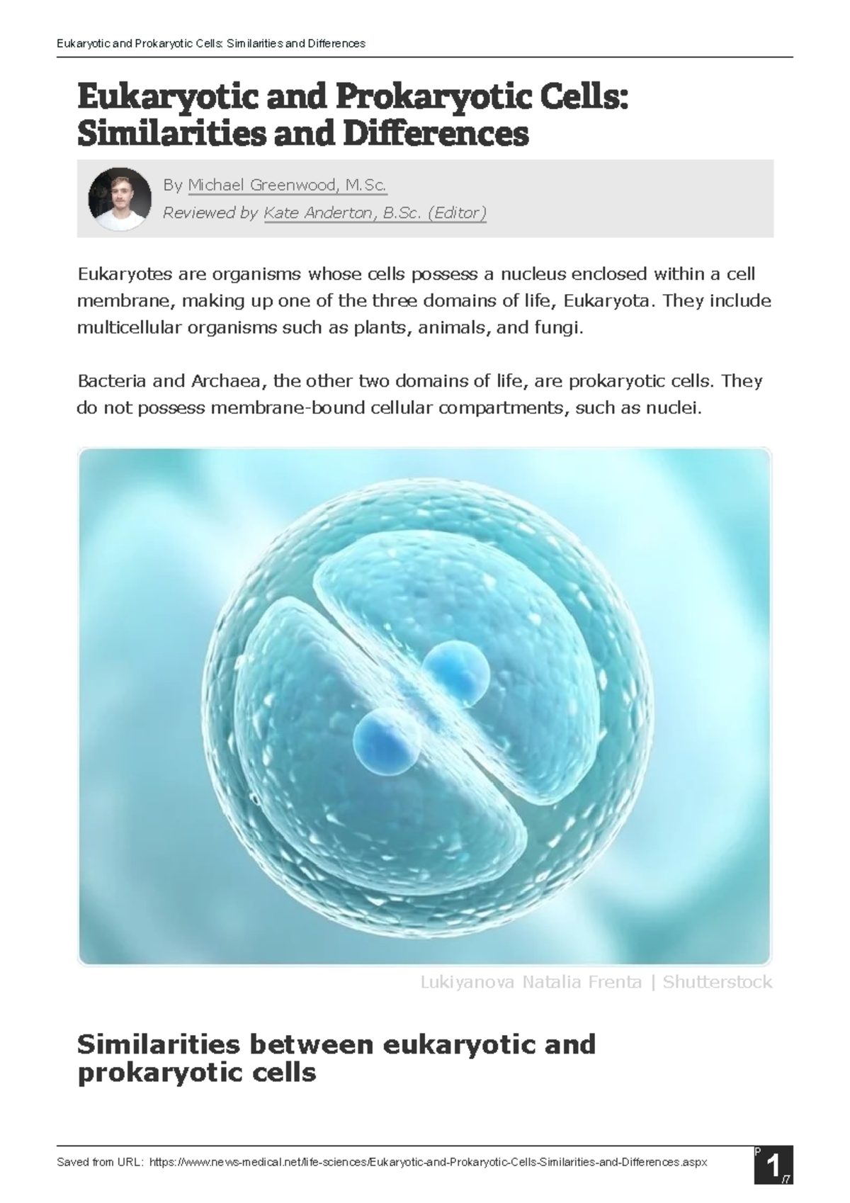 Eukaryotic And Prokaryotic Cells Similarities And Differences Eukaryotic And Prokaryotic Cells 4129