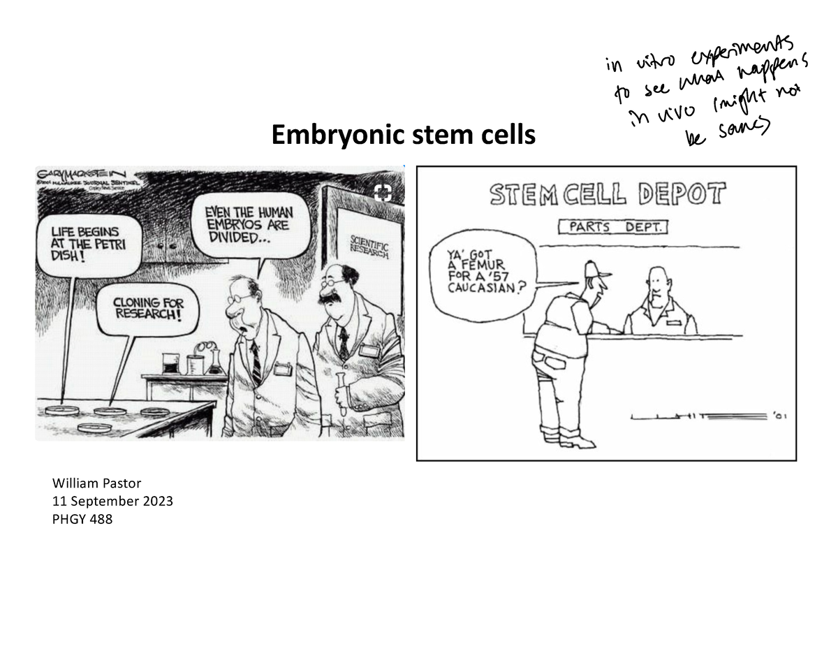 embryonic-stem-cells-lecture-v4-embryonic-stem-cells-william-pastor