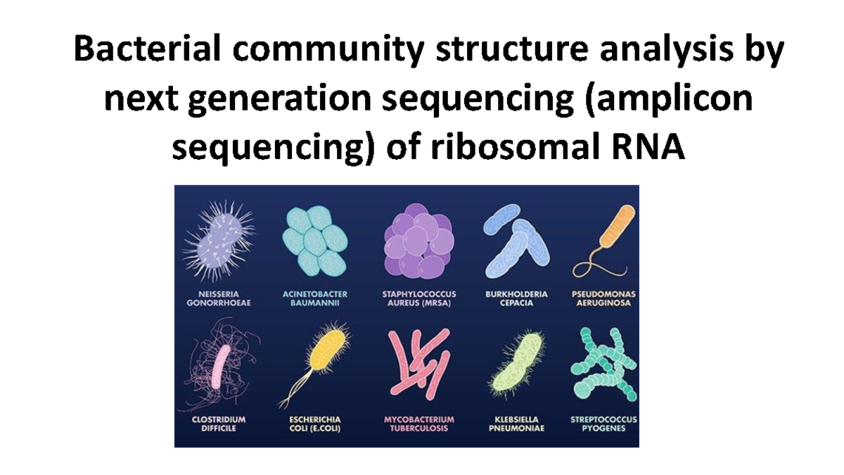 6c. Metagenomica Micmar 3 16Sr RNA sequencing - Bacterial community ...