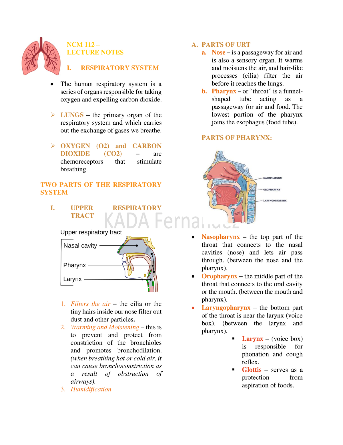 Ncm 112 Lecture Notes Respiratory System And Its Diseases Ncm 112