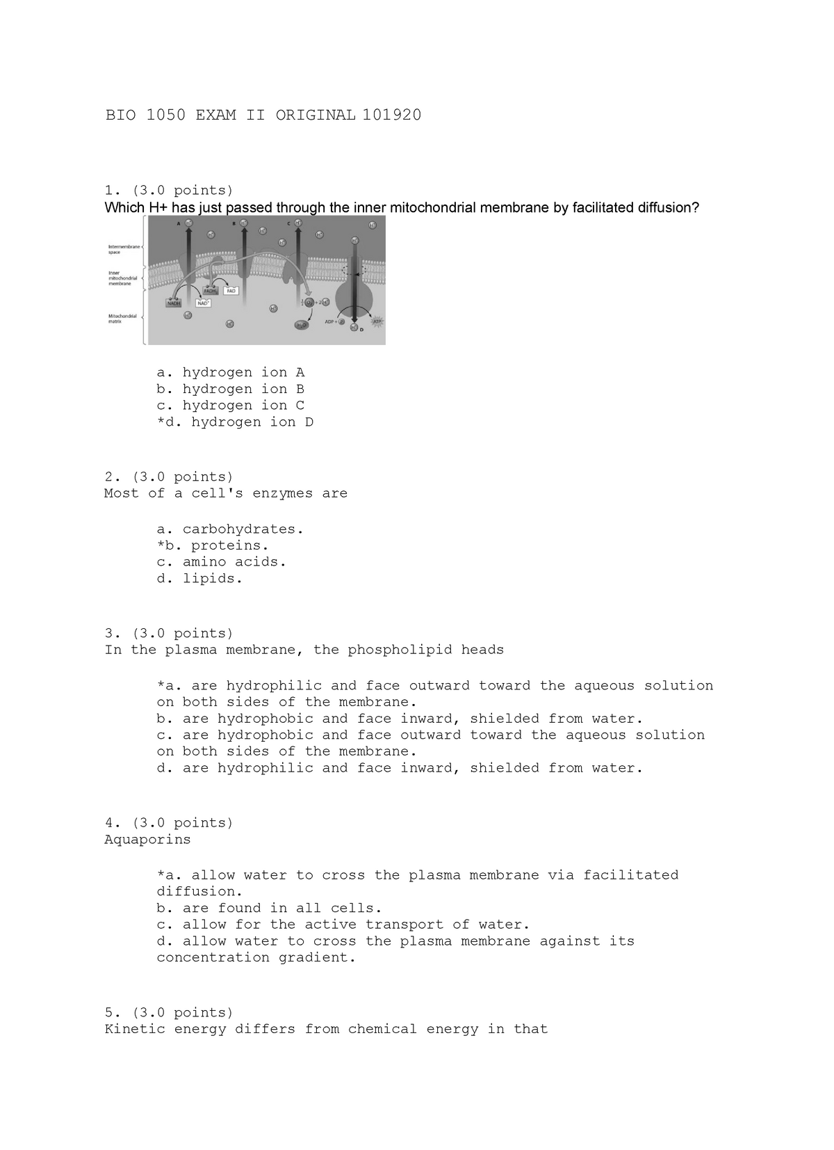 BIO 1050 EXAM II Original Answer KEY 101920 - BIO 1050 EXAM II ORIGINAL ...