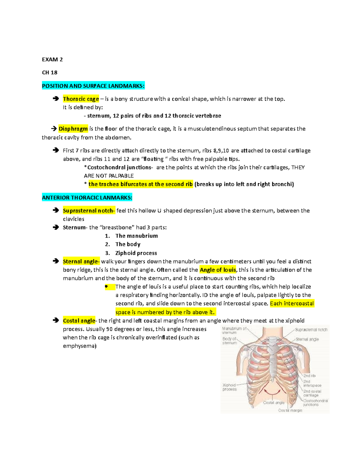 EXAM 2 health assesment - EXAM 2 CH 18 POSITION AND SURFACE LANDMARKS ...