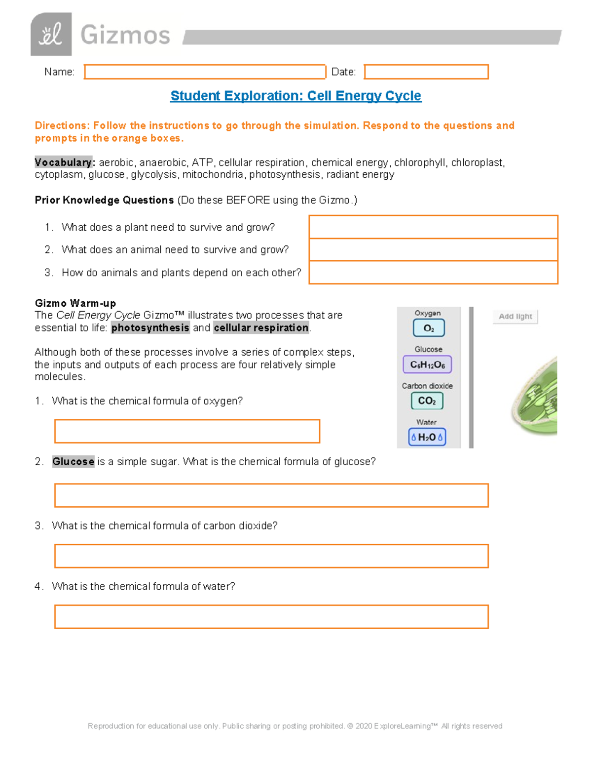 Copy Of Copy Of Cell Energy SE - Name: Date: Student Exploration: Cell ...