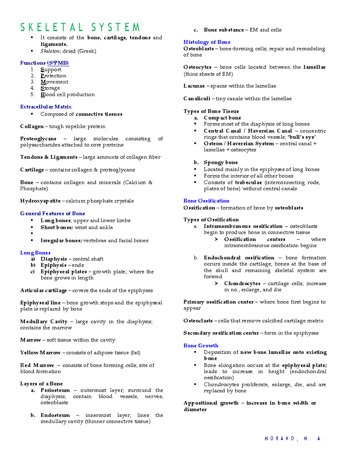 Skeletal System - Nursing Note - S K E L E T A L S Y S T E M It ...