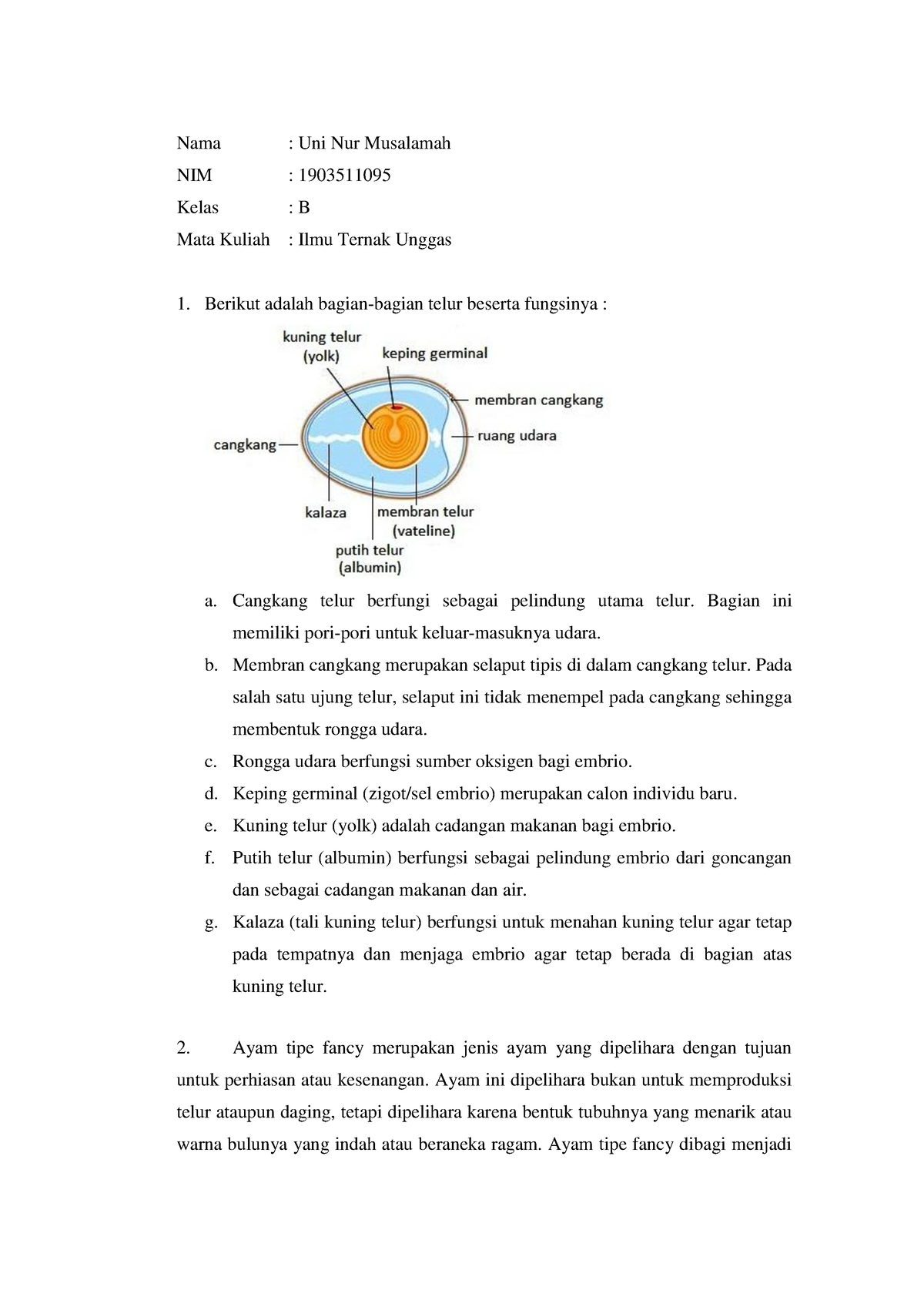 1903511095 Uni Nur Musalamah Kelas B Quis ITUTopik 13-15 - Nama : Uni ...