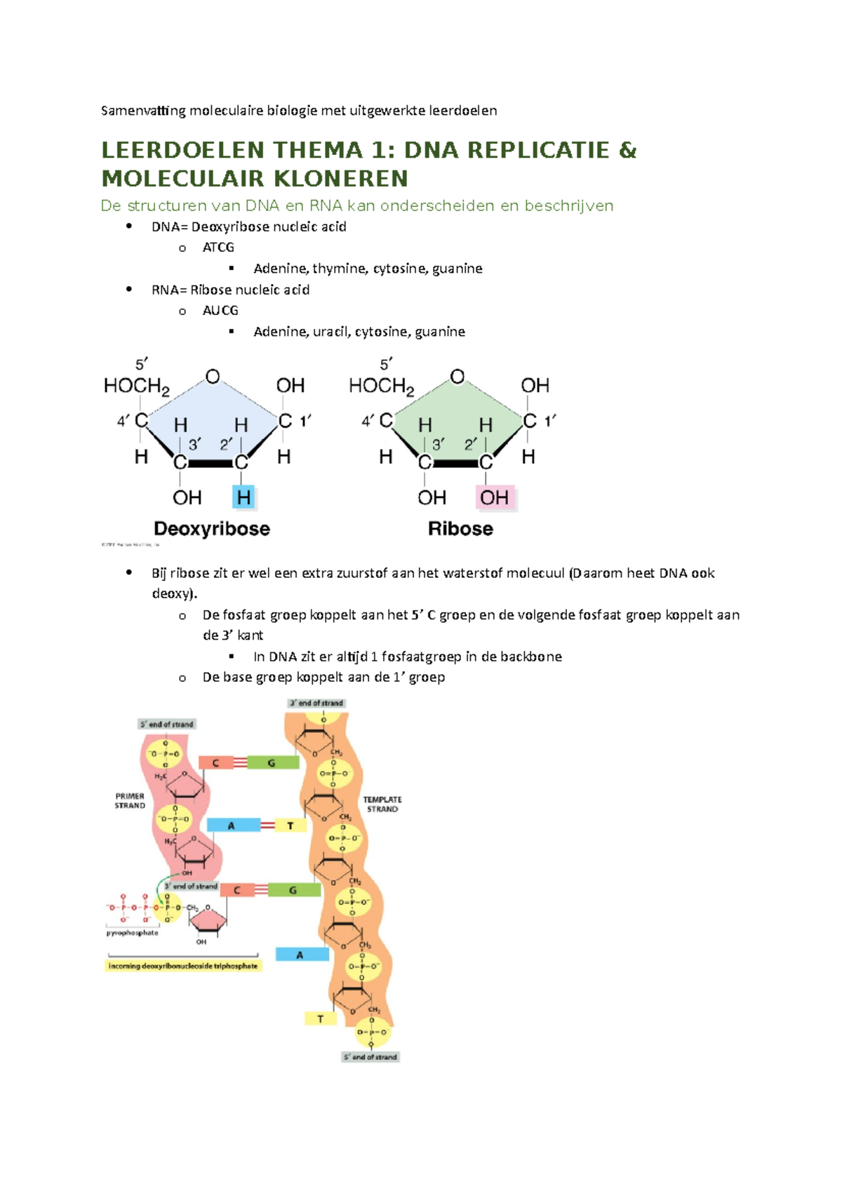 Samenvatting Moleculaire Biologie Uitgewerkte Leerdoelen 2022 ...