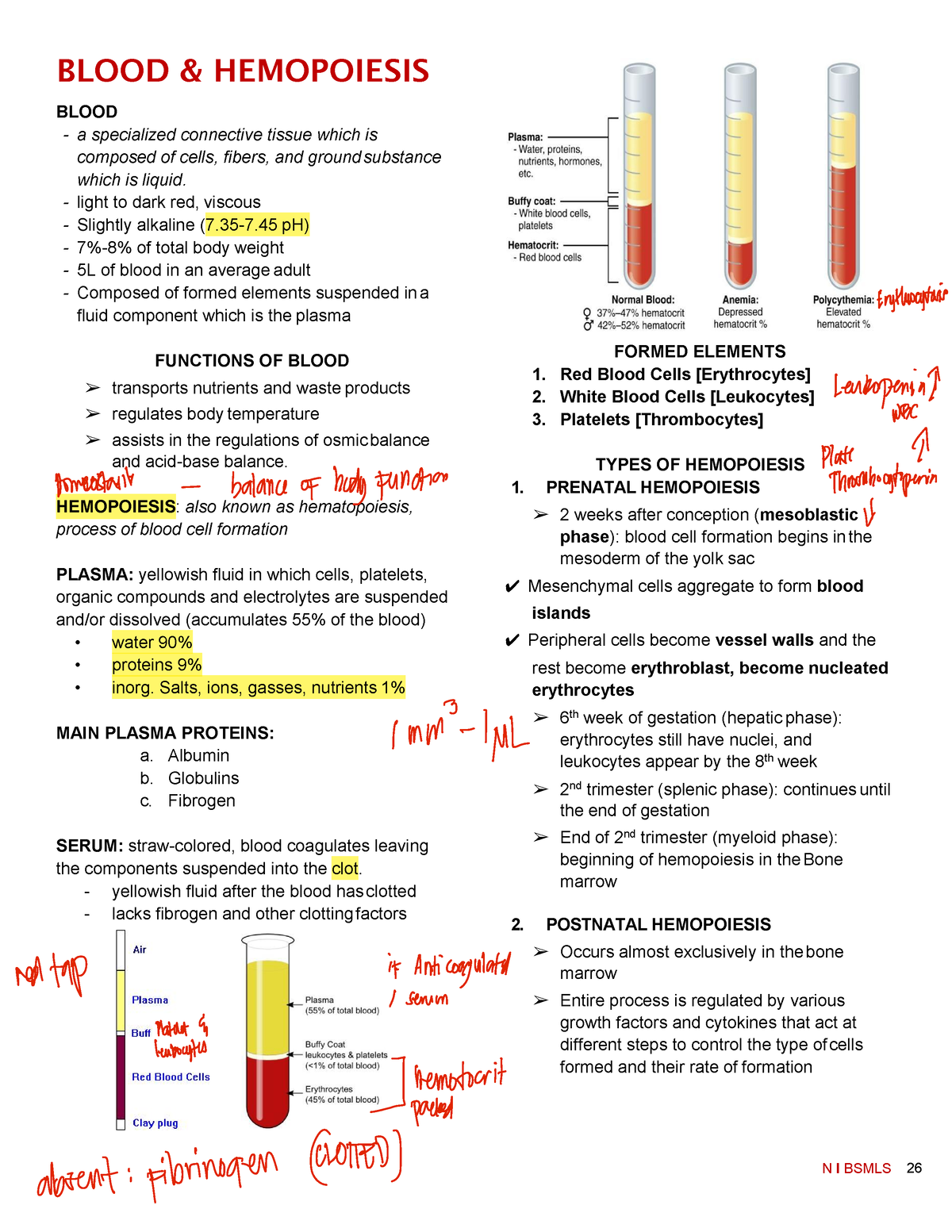 BONE AND Cartilage - BLOOD & HEMOPOIESIS BLOOD - a specialized ...