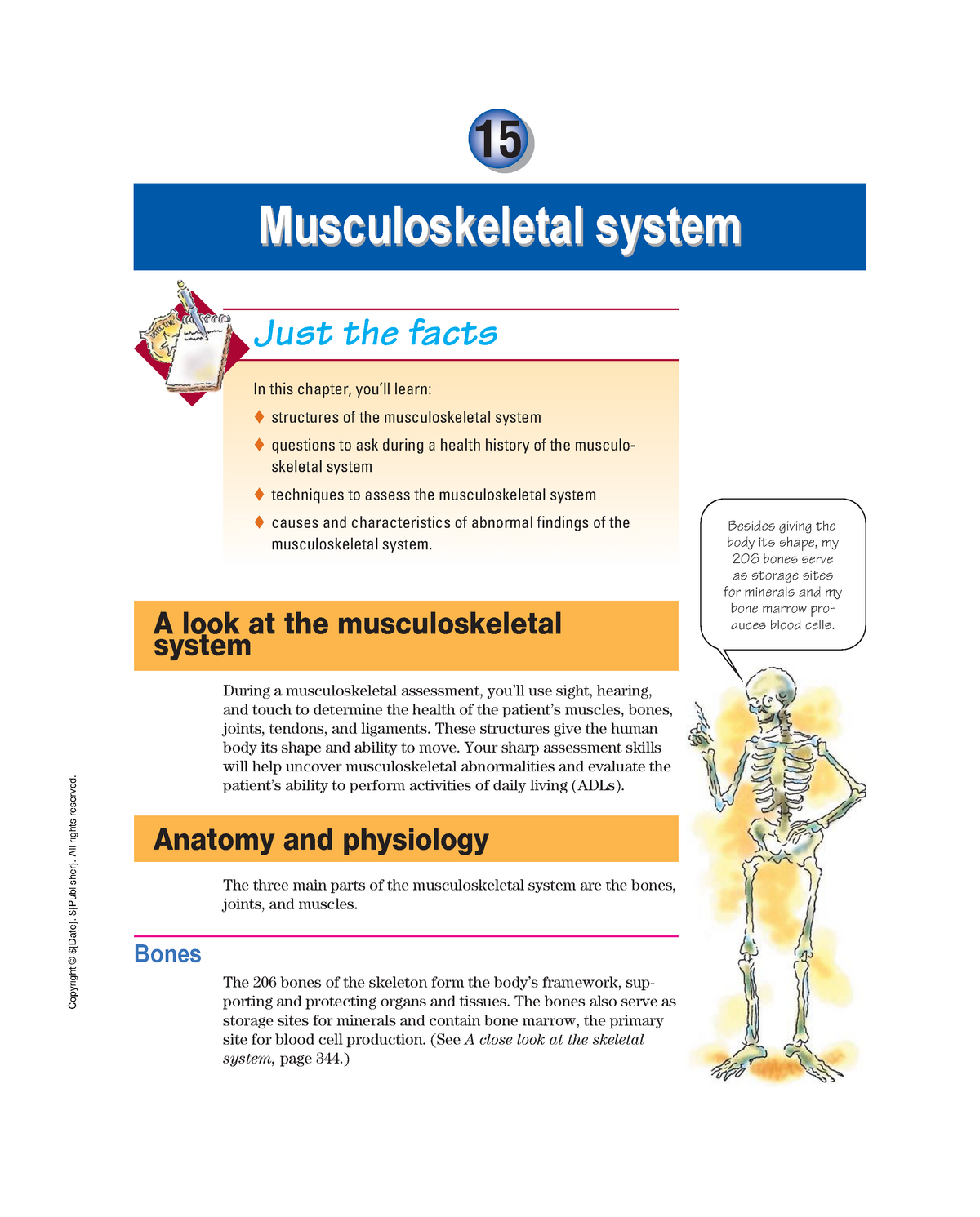 Musculoskeletal System Studocu