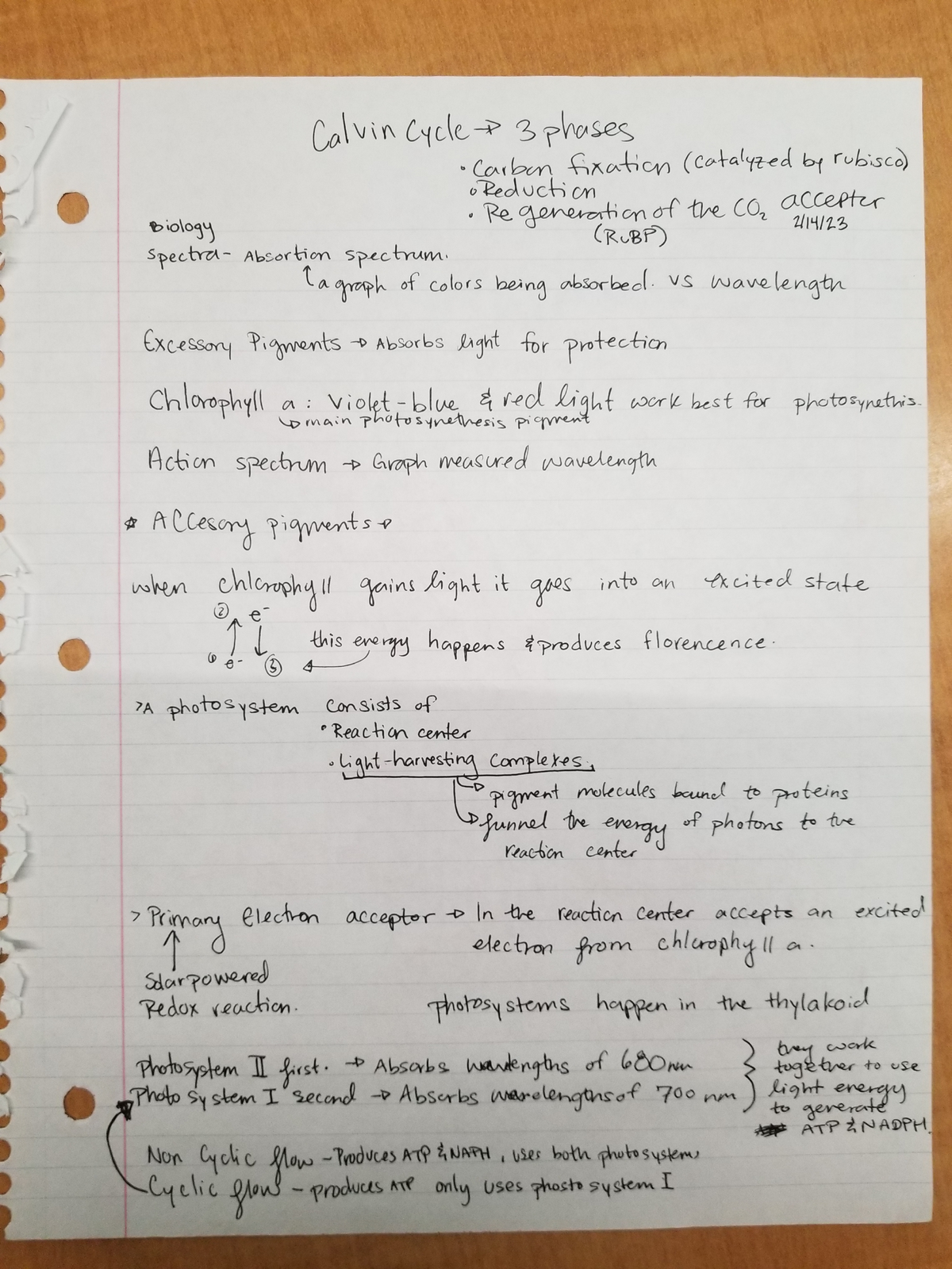 Principles Of Biology - BIOL 1610 - Studocu