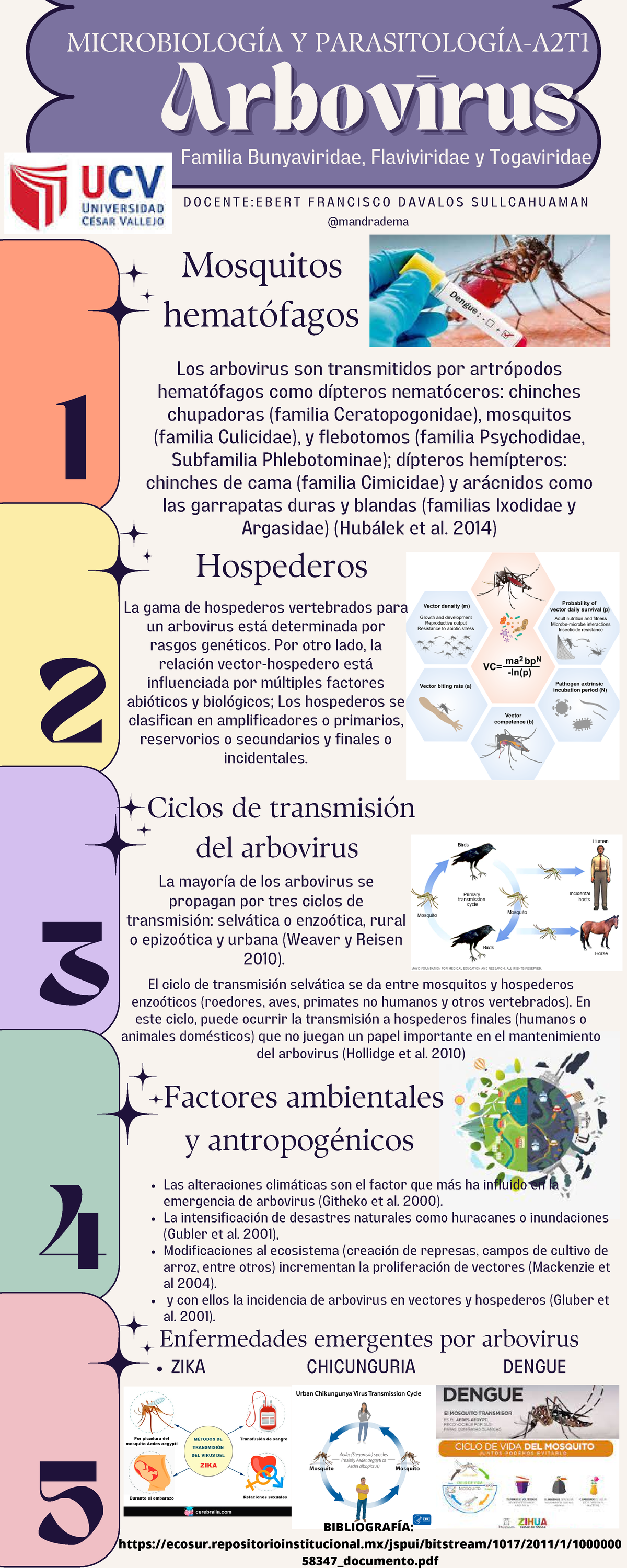 Infografía ARBOVIRUS - 4 5 2 MICROBIOLOGÍA Y PARASITOLOGÍA-A2T 1 3 D O ...