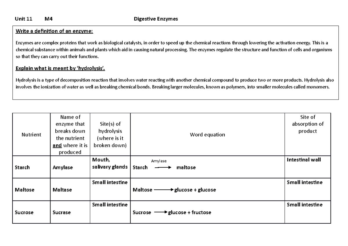 M4 - chemical equations - Unit 11 M4 Digestive Enzymes Nutrient Name of ...