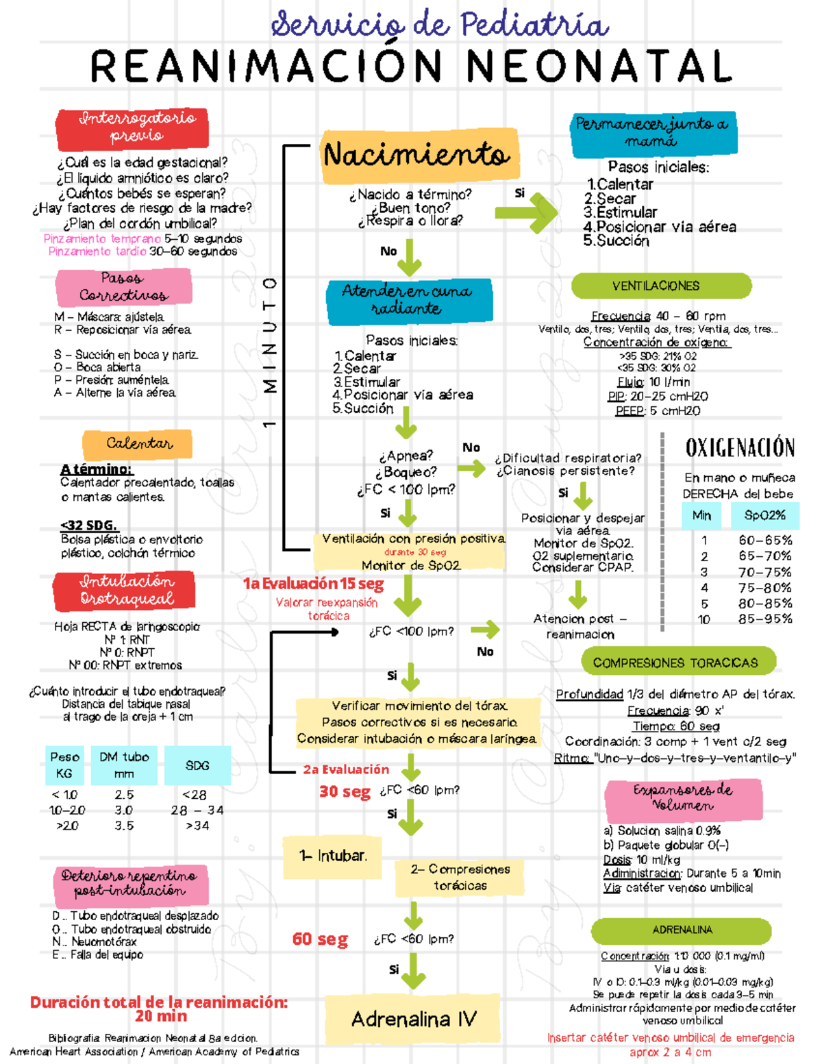 Reneo resumen super consiso y bien hecho - By: Carlos Cruz 2023