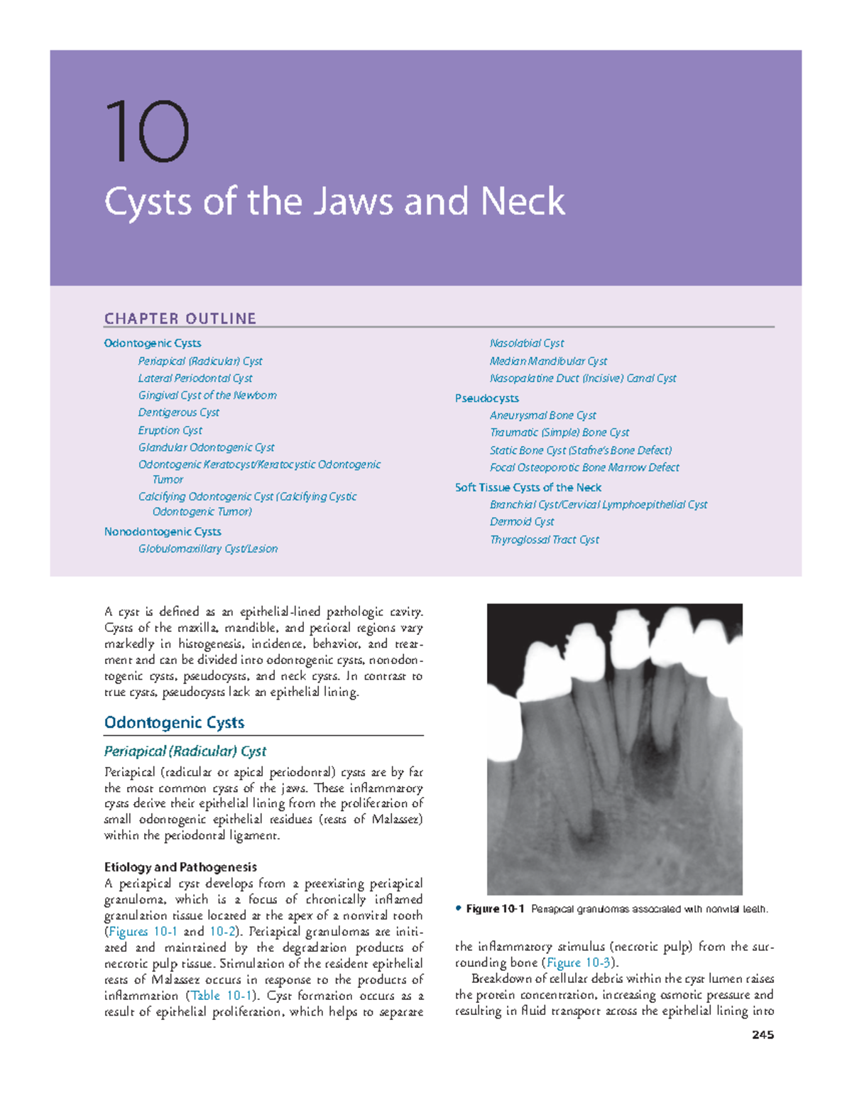 RegeziOdontogenic Cysts 245 Nasolabial Cyst