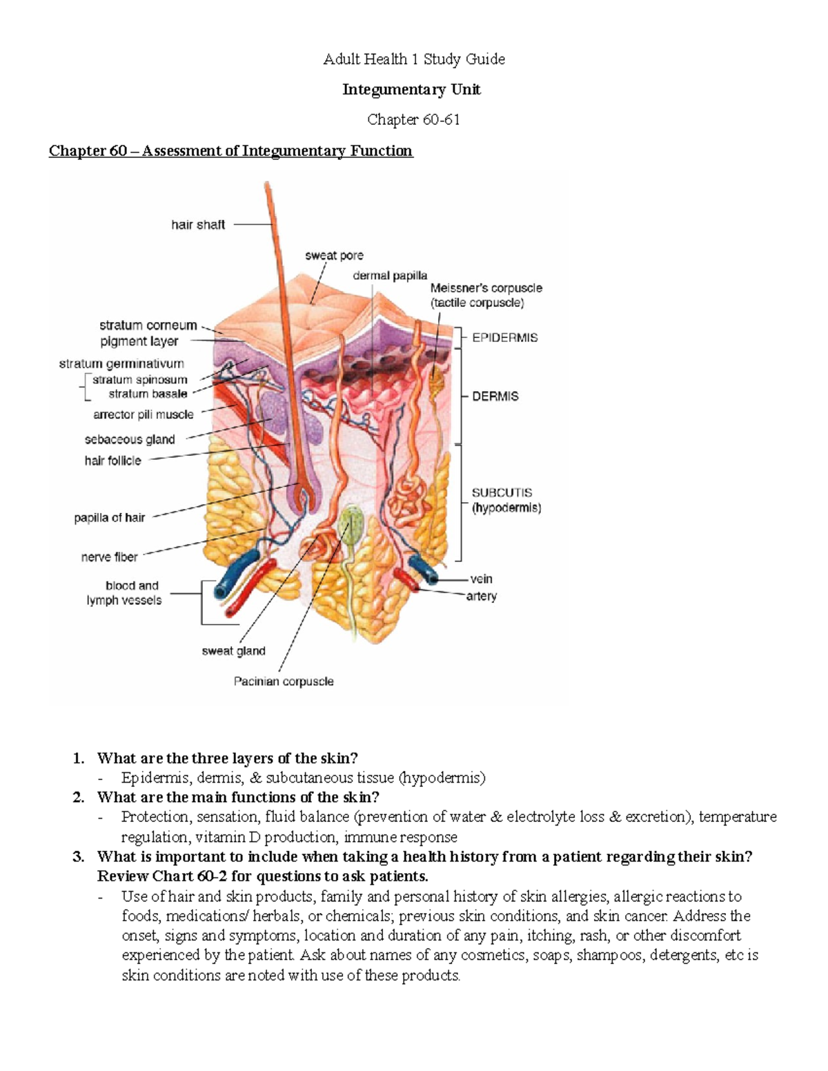 AH1 Skin 2021 E1 - Adult Health 1 Study Guide Integumentary Unit ...