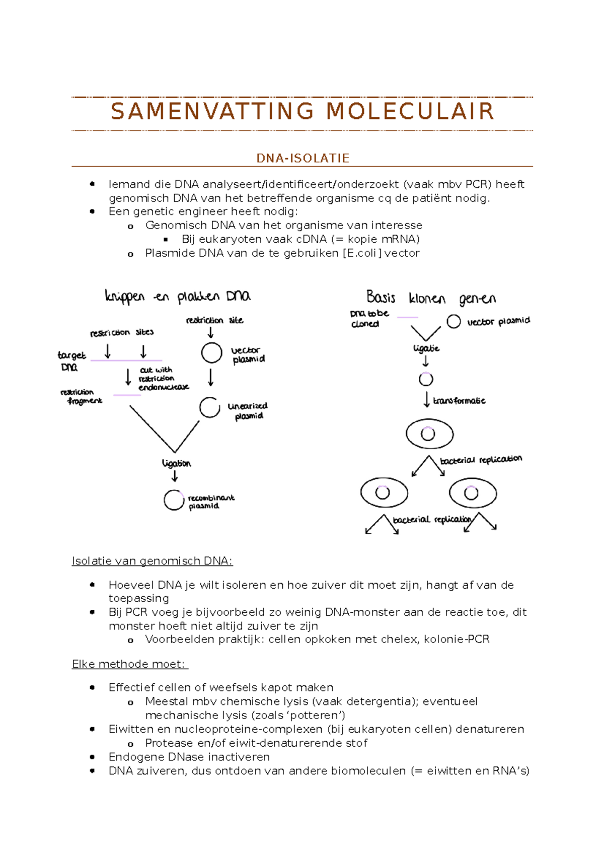 Samenvatting Moleculair - SAMENVATTING MOLECULAIR DNA-ISOLATIE Iemand ...