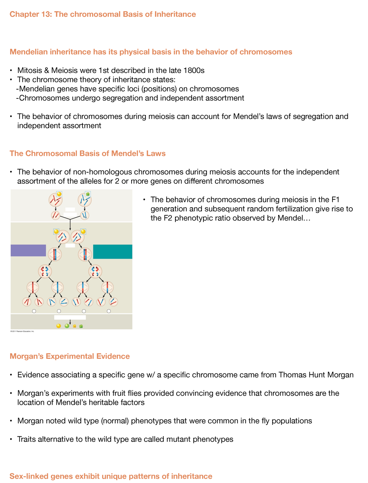 Note Oct 24, 20220-well Organized Notes - Chapter 13: The Chromosomal ...