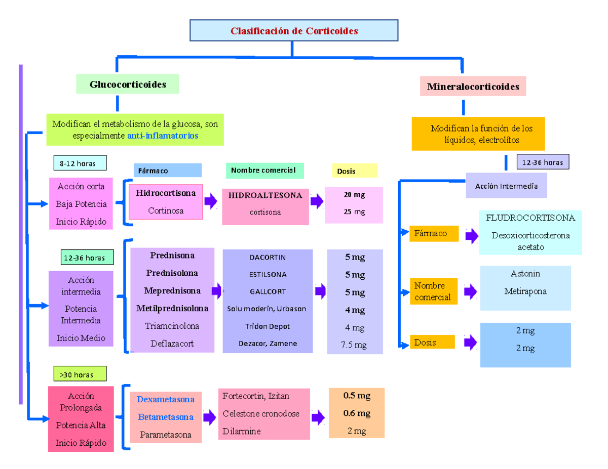 Corticoides mapa - Clasificación de Corticoides Acción Prolongada ...