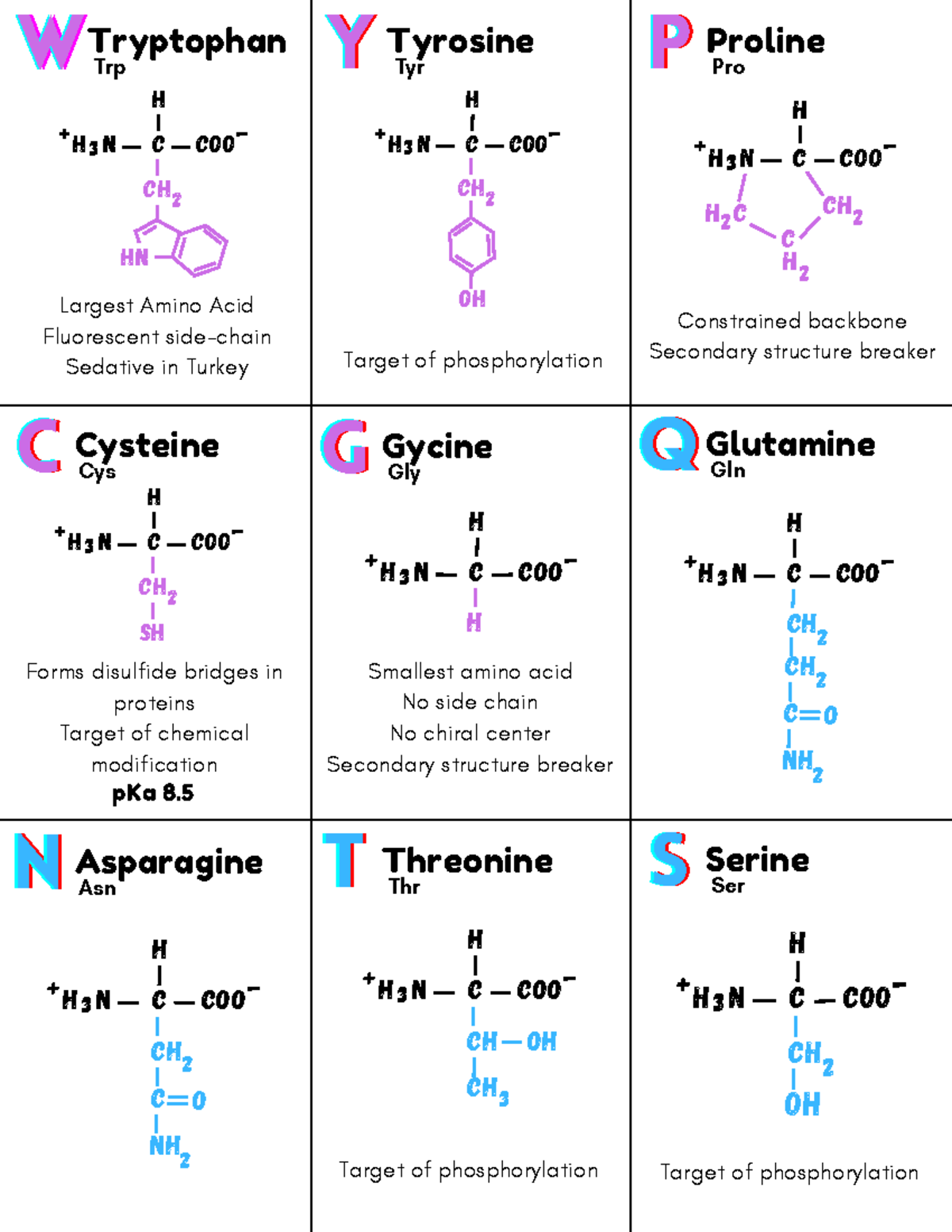 Amino Acid Study Cards C H CH 2 C H CH 2 Tryptophan WWW Trp Largest