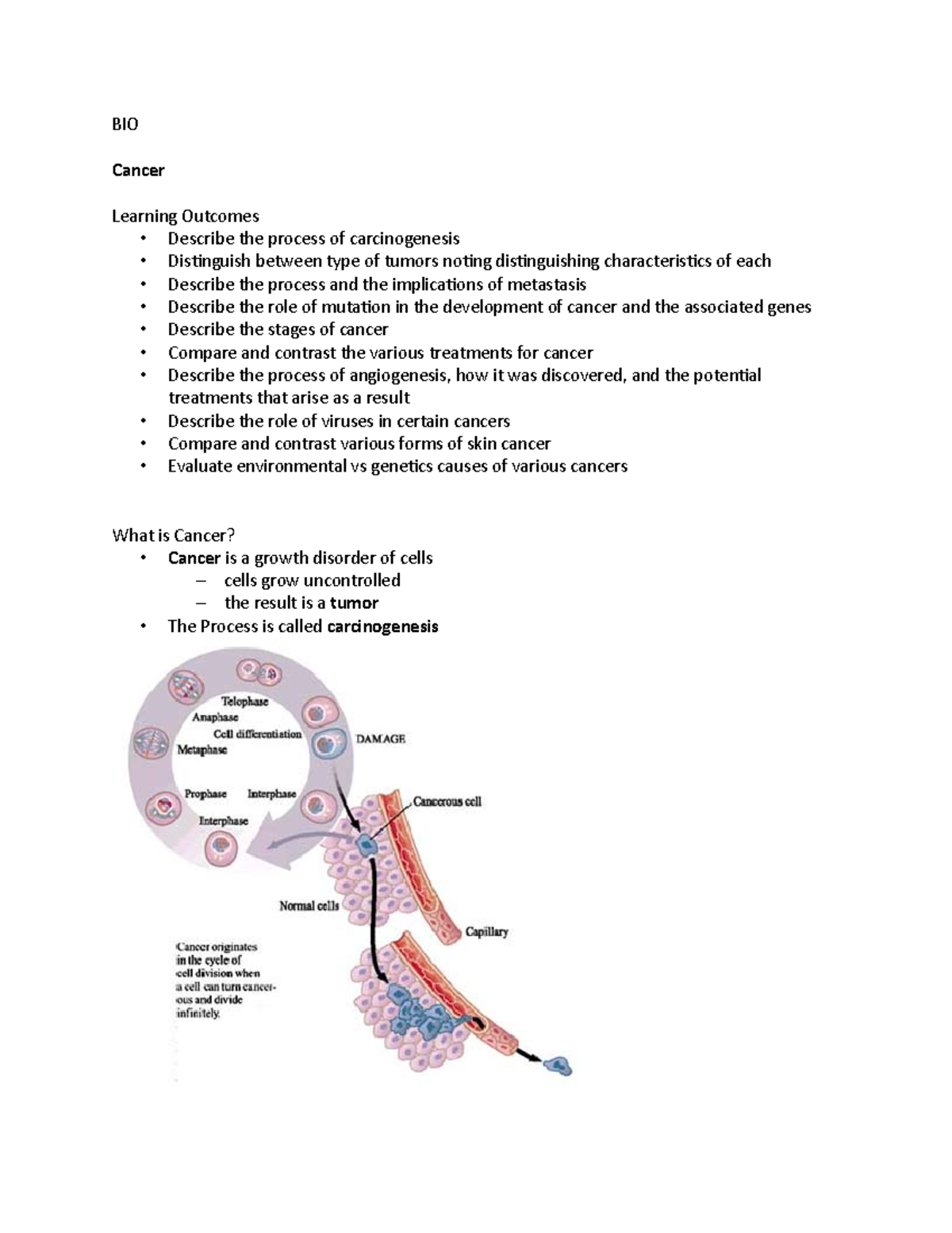 Cancer Notes - BIO Cancer Learning Outcomes - Describe the process of ...