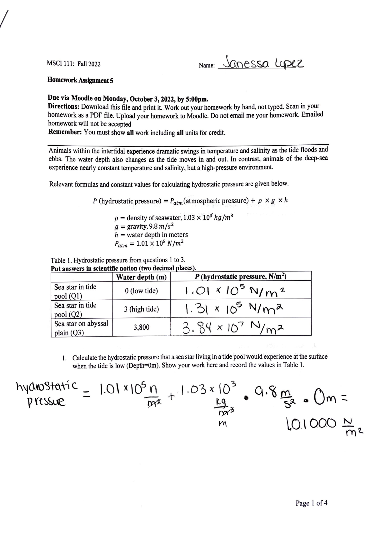 Homework 5 - I MSCI 111: Fall 2022 Homework Assignment 5 Name: Due via ...