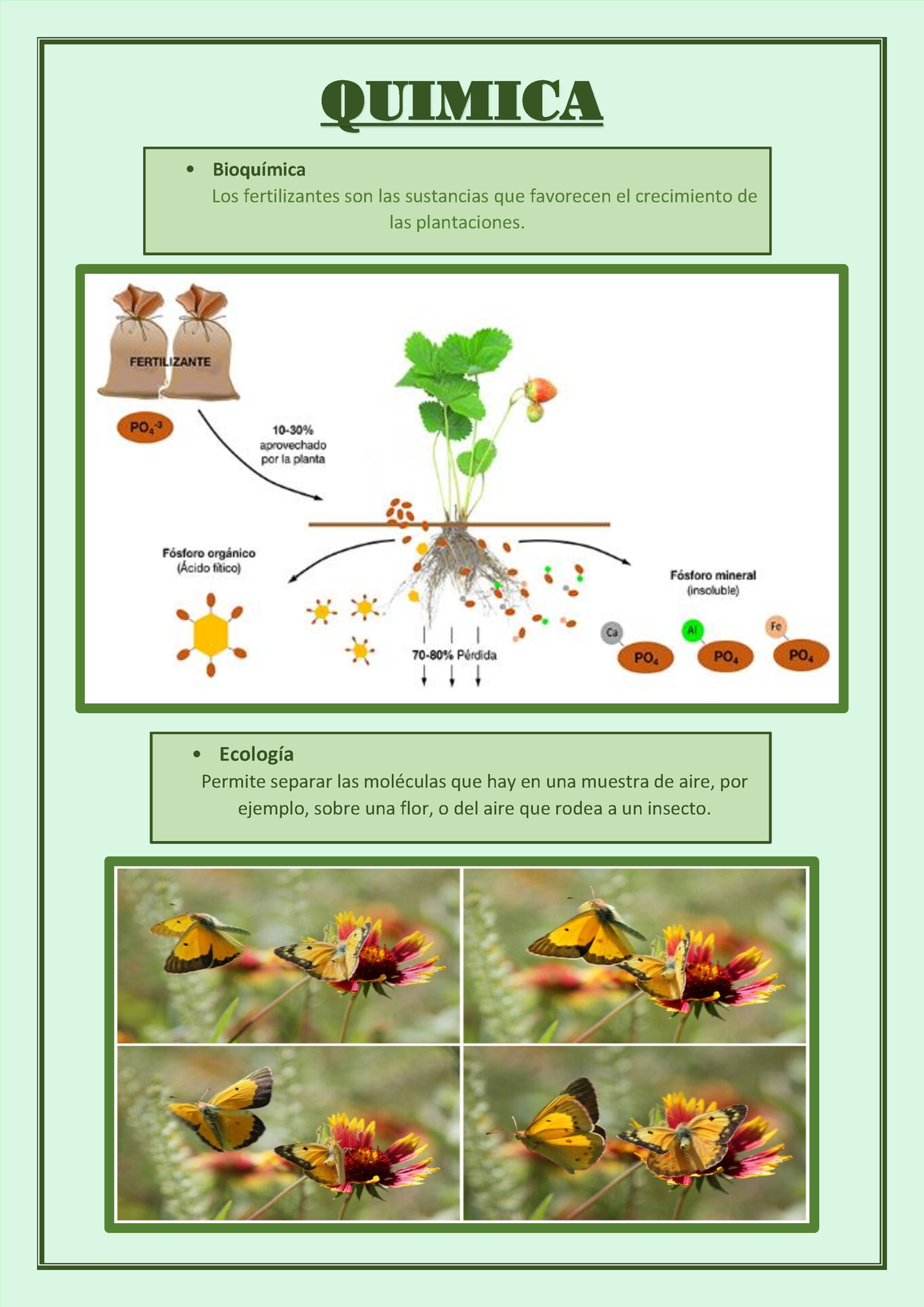 Tarea 1 - Quimica - QUIMICA Bioquímica Los Fertilizantes Son Las ...