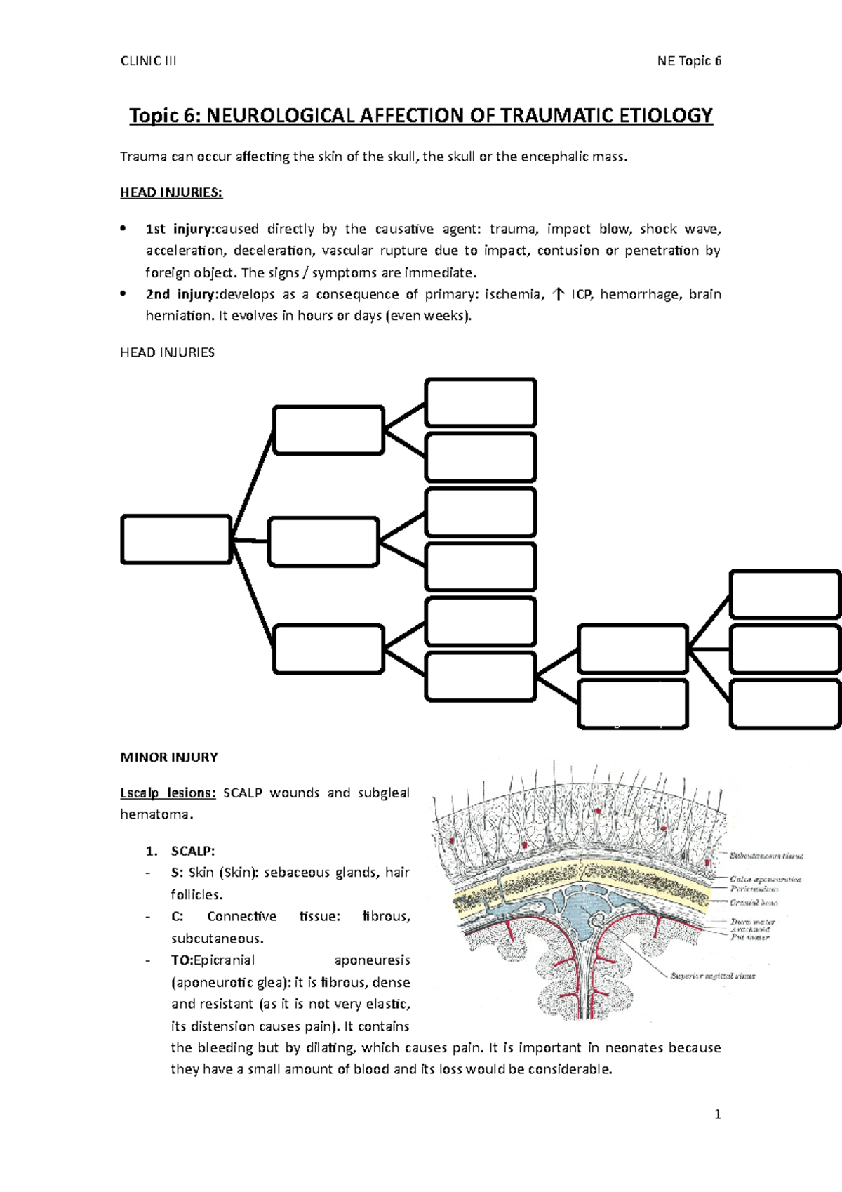 Unit 5 - Lecture notes 5 - Topic 6: NEUROLOGICAL AFFECTION OF TRAUMATIC ...