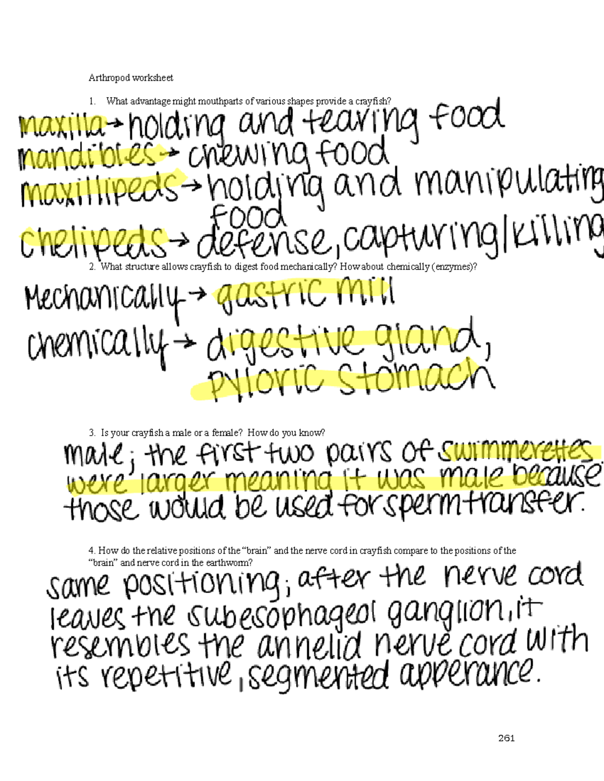 Lab 7 Arthropod Worksheet - BIOL 230 - Arthropod worksheet1. What ...
