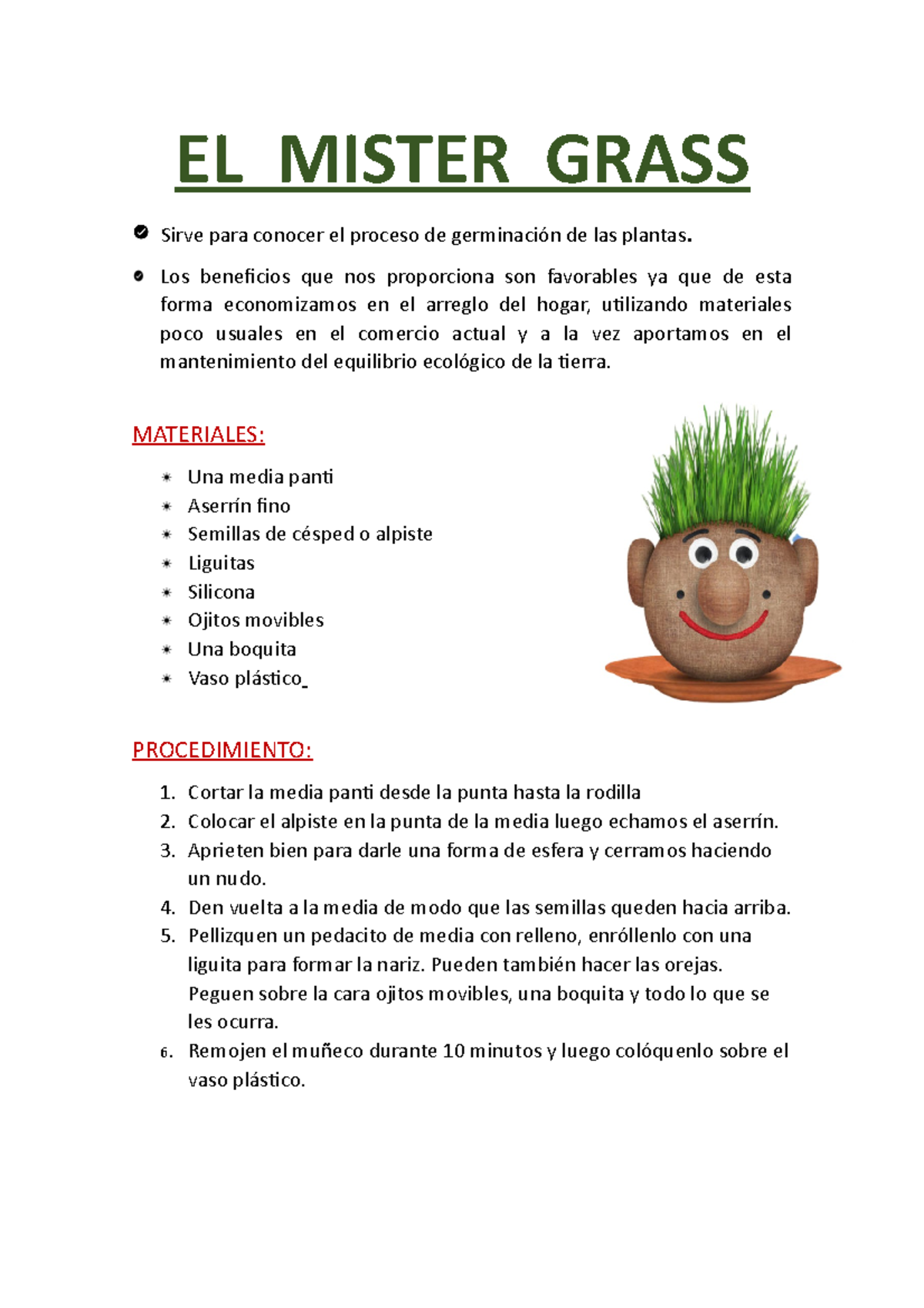 Mister grass EL MISTER GRASS Sirve para conocer el proceso de