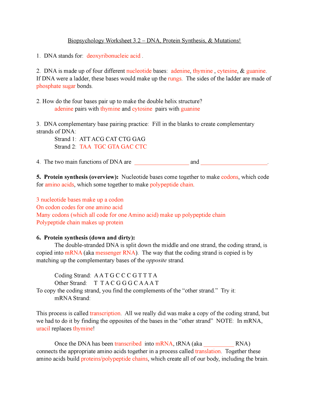 SI 200.20 DNA Protéine Synthesis Mutations - Biopsychology Worksheet With Regard To Protein Synthesis Review Worksheet Answers