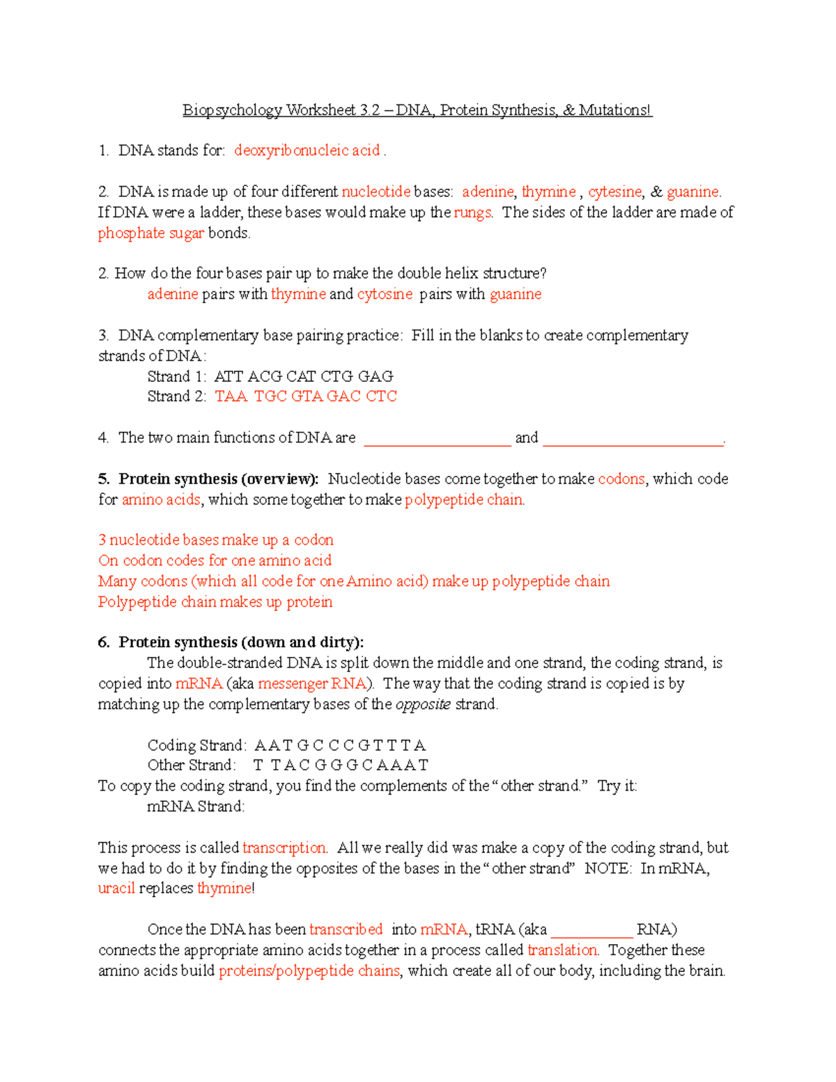 Protein Synthesis Practice Worksheet