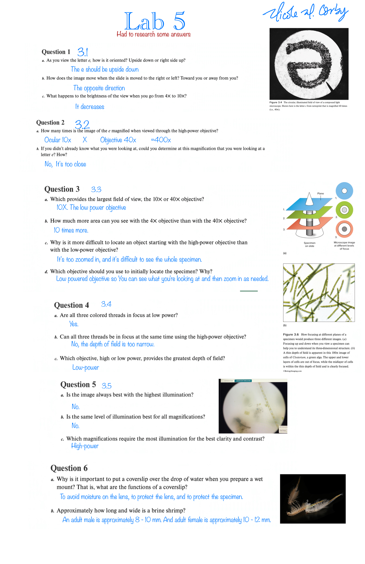 Lab 5 - Lab workbook answers - Lab 5 The e should be upside down ...