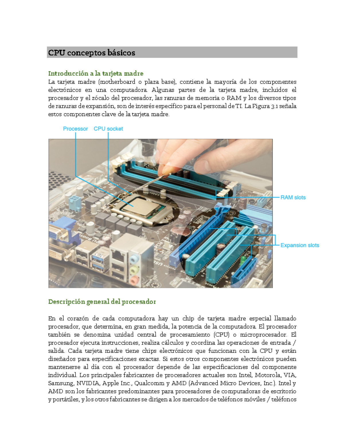 CPU conceptos basicos - CPU conceptos básicos Introducción a la tarjeta ...