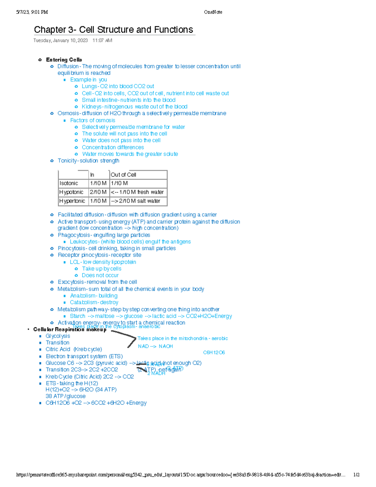 Chapter 3 - Professor Rhodes - 5/7/23, 9:01 PM OneNote - Studocu