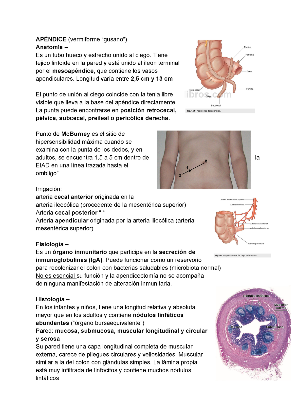 Apendicitis - APÉNDICE (vermiforme “gusano”) Anatomía – Es Un Tubo ...