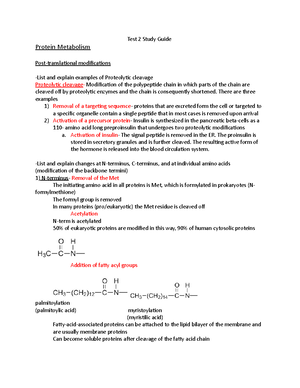 Exam 1 Review Sheet With Answers - Review sheet for Exam 1 BCHE Fall ...